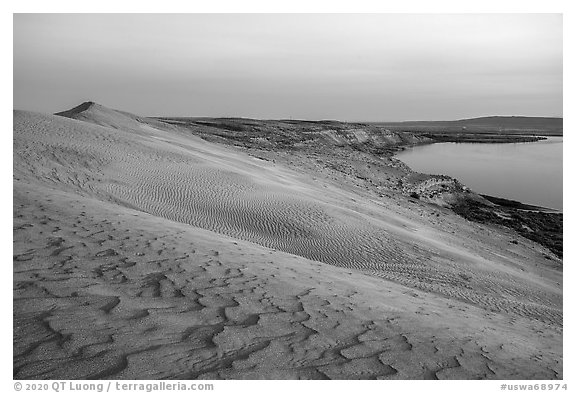 Sand ripples and Columbia River at sunset, Hanford Reach National Monument. Washington (black and white)