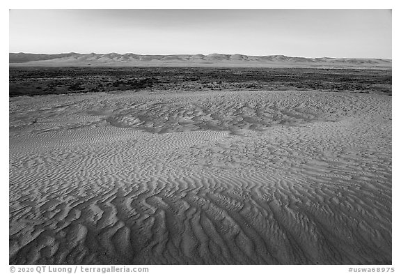 Sand ripples and Saddle Mountains at sunset, Hanford Reach National Monument. Washington (black and white)