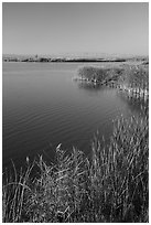 Wahluke Ponds, Hanford Reach National Monument. Washington ( black and white)