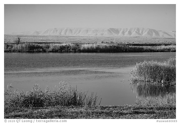 Wahluke Ponds and distant Rattlesnake Mountain, Hanford Reach National Monument. Washington