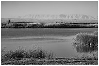 Wahluke Ponds and distant Rattlesnake Mountain, Hanford Reach National Monument. Washington ( black and white)