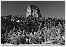 Devil's Tower rising above forested slope. Wyoming, USA (black and white)