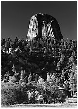 Devils Tower in autumn, Devils Tower National Monument. Wyoming, USA (black and white)