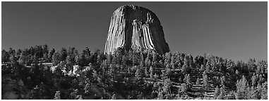 Devils Tower rising above forest. Wyoming, USA (Panoramic black and white)