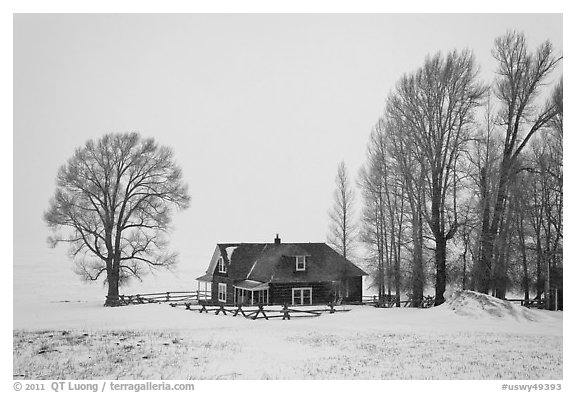 Miller House during snow storm, National Elk Refuge. Jackson, Wyoming, USA (black and white)