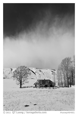 Historic house and bare cottonwoods in winter. Jackson, Wyoming, USA (black and white)
