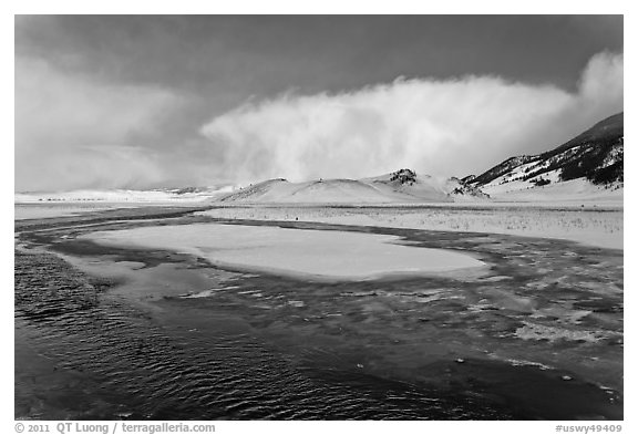 Stream in winter, National Elk Refuge. Jackson, Wyoming, USA (black and white)