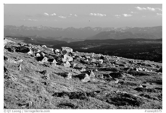 Alpine meadow and rocks, late afternoon, Beartooth Range, Shoshone National Forest. Wyoming, USA (black and white)