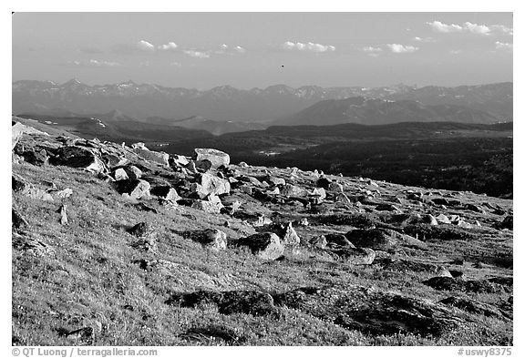 Alpine meadow and rocks, late afternoon, Beartooth Range, Shoshone National Forest. Wyoming, USA