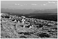 Alpine meadow and rocks, late afternoon, Beartooth Range, Shoshone National Forest. Wyoming, USA ( black and white)
