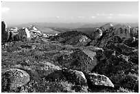 Wildflowers and rocky alpine meadow, late afternoon, Beartooth Mountains, Shoshone National Forest. Wyoming, USA (black and white)