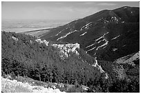 Forest on slopes above the prairie,  Bighorn National Forest. Wyoming, USA ( black and white)