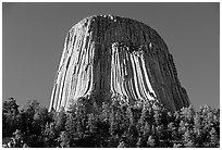 Volcanic Neck, Devils Tower National Monument. Wyoming, USA (black and white)