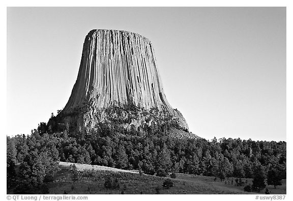 Monolithic igneous intrusion, Devils Tower National Monument. Wyoming, USA (black and white)