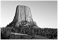 Monolithic igneous intrusion, Devils Tower National Monument. Wyoming, USA ( black and white)