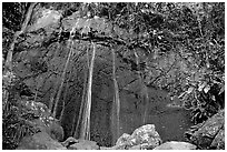 La Coca Falls, El Yunque, Carribean National Forest. Puerto Rico (black and white)