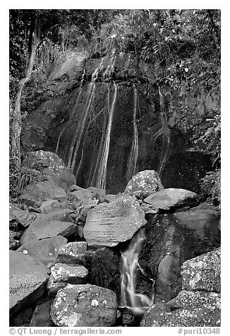 La Coca Falls, El Yunque, Carribean National Forest. Puerto Rico