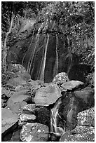 La Coca Falls, El Yunque, Carribean National Forest. Puerto Rico (black and white)