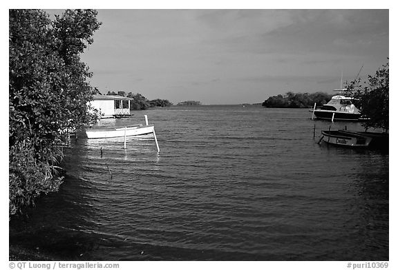 Bay with mangroves, La Parguera. Puerto Rico (black and white)