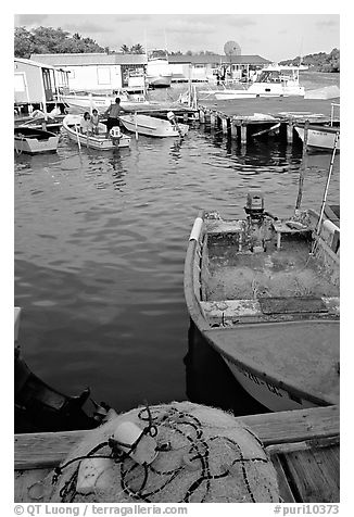 Small boat harbor, La Parguera. Puerto Rico