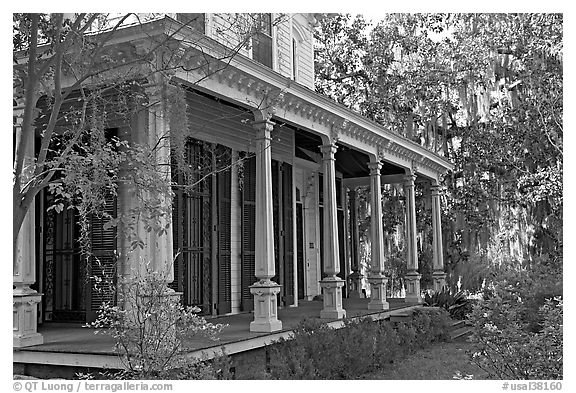 House and trees with Spanish moss in frontyard. Selma, Alabama, USA (black and white)