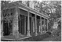 House and trees with Spanish moss in frontyard. Selma, Alabama, USA (black and white)