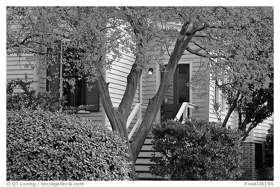 Tree in fall color and house. Montgomery, Alabama, USA