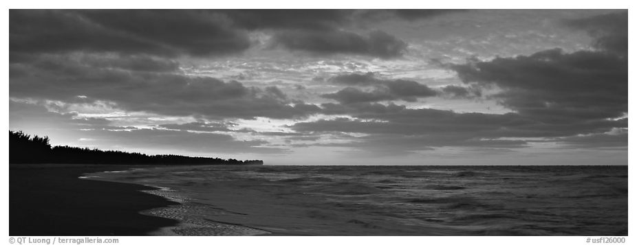 Seashore at sunrise, Sanibel Island. Florida, USA (black and white)