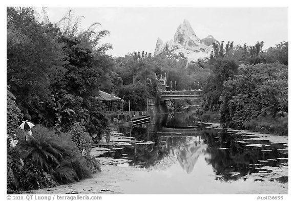Tropical forest and Everest mountain, Animal Kingdom Theme Park. Orlando, Florida, USA (black and white)
