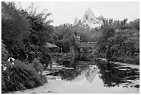Tropical forest and Everest mountain, Animal Kingdom Theme Park. Orlando, Florida, USA ( black and white)