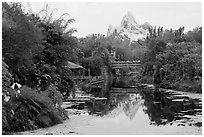 Tropical forest and Everest mountain, Animal Kingdom Theme Park. Orlando, Florida, USA (black and white)