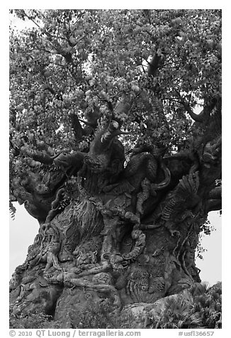Sculpted tree of life, Animal Kingdom Theme Park, Walt Disney World. Orlando, Florida, USA