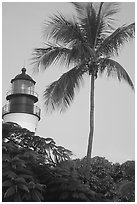 Lighthouse and palm tree. Key West, Florida, USA (black and white)