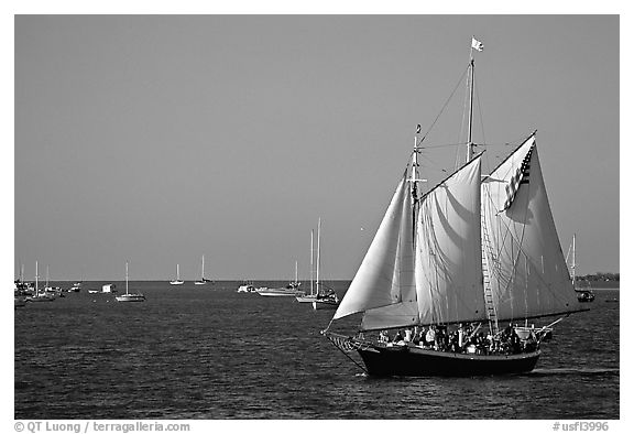 Old sailboat. Key West, Florida, USA (black and white)