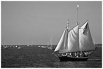 Old sailboat. Key West, Florida, USA (black and white)