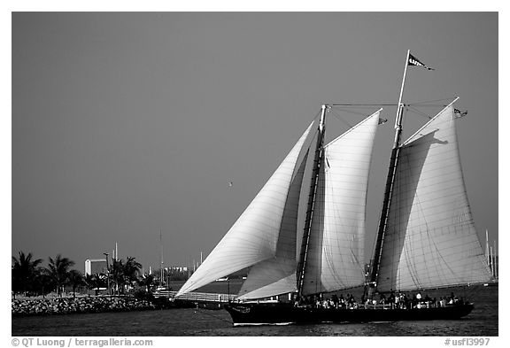 Historic sailboat. Key West, Florida, USA (black and white)