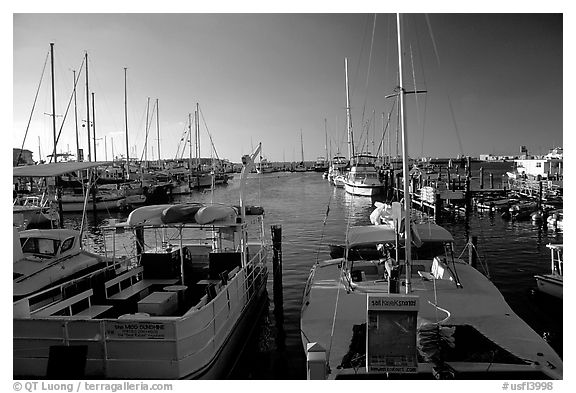 Harbor at sunset. Key West, Florida, USA (black and white)