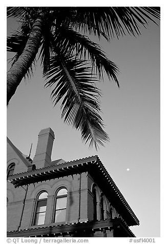 Red house and palm tree. Key West, Florida, USA