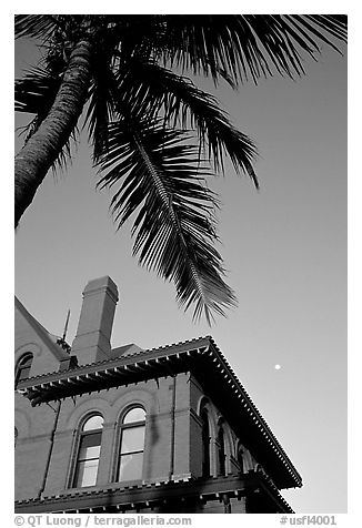 Red house and palm tree. Key West, Florida, USA (black and white)