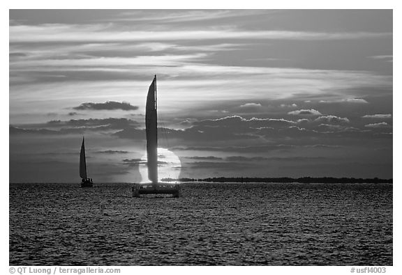 Sailboats viewed against sun disk at sunset. Key West, Florida, USA