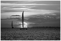 Sailboats viewed against sun disk at sunset. Key West, Florida, USA ( black and white)