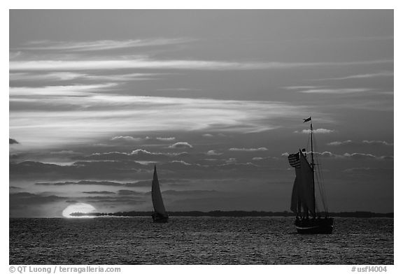 Sailboats and sun, sunset. Key West, Florida, USA (black and white)