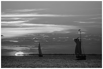 Sailboats and sun, sunset. Key West, Florida, USA (black and white)