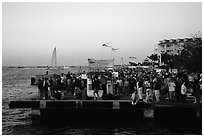 Crowds watching sunset at Mallory Square. Key West, Florida, USA ( black and white)