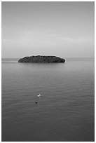 Small island covered with mangroves. The Keys, Florida, USA (black and white)