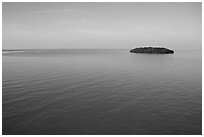 Small island in Florida Bay. The Keys, Florida, USA ( black and white)