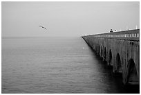 Old Seven-mile bridge. The Keys, Florida, USA (black and white)