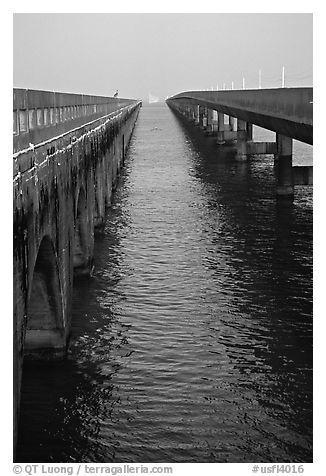 Old and new Seven-mile bridges. The Keys, Florida, USA (black and white)