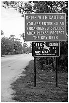 Sign warning about the endangered Key deer, Big Pine Key. The Keys, Florida, USA ( black and white)