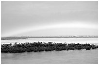 Rainbow above mangroves, Key West. The Keys, Florida, USA ( black and white)